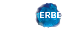 Wunscherbe-logo